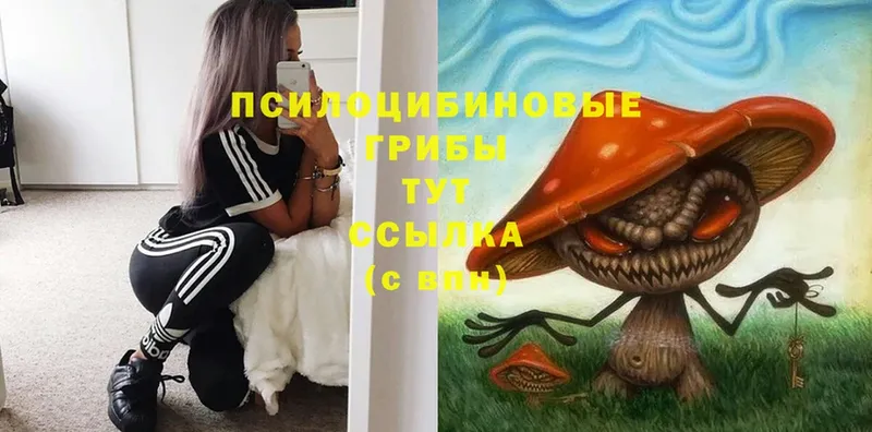 Галлюциногенные грибы ЛСД  omg ССЫЛКА  Демидов 